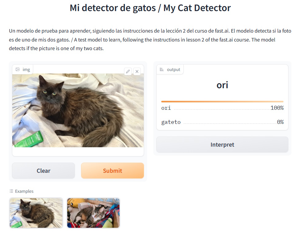 ¡Mi detector de gatos en acción!