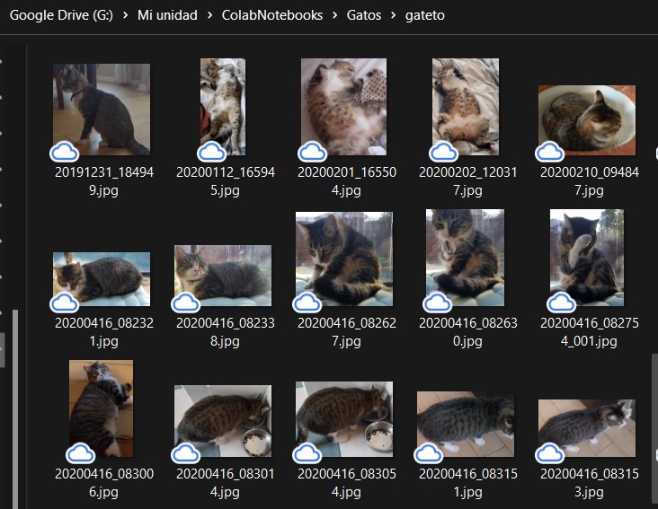 Dozens of my cats' photos uploaded to Google Drive.